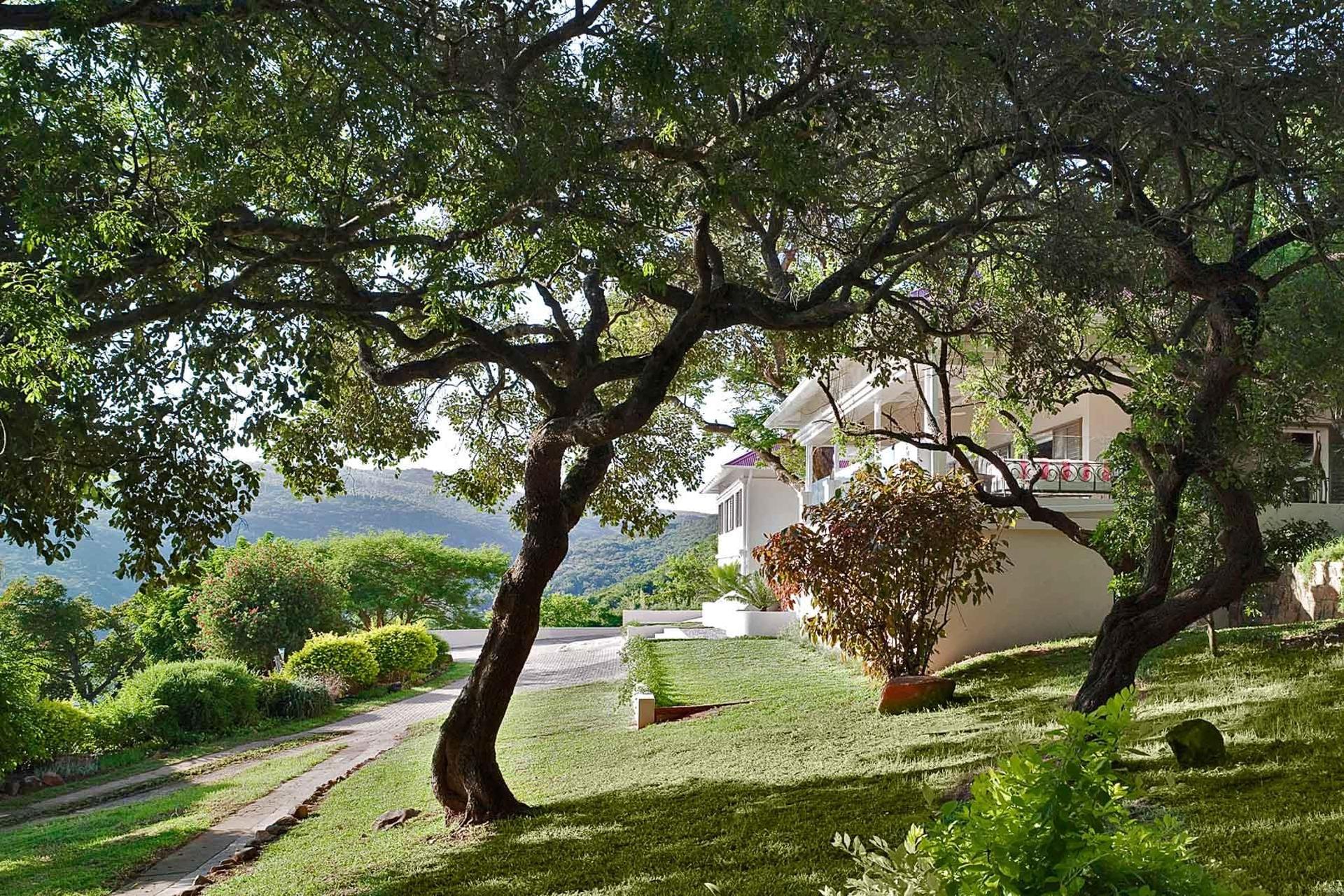 Private Lowveld Lifestyle Estate | Exclusive Residence with Hospitality or Retreat Potential — photograph 4