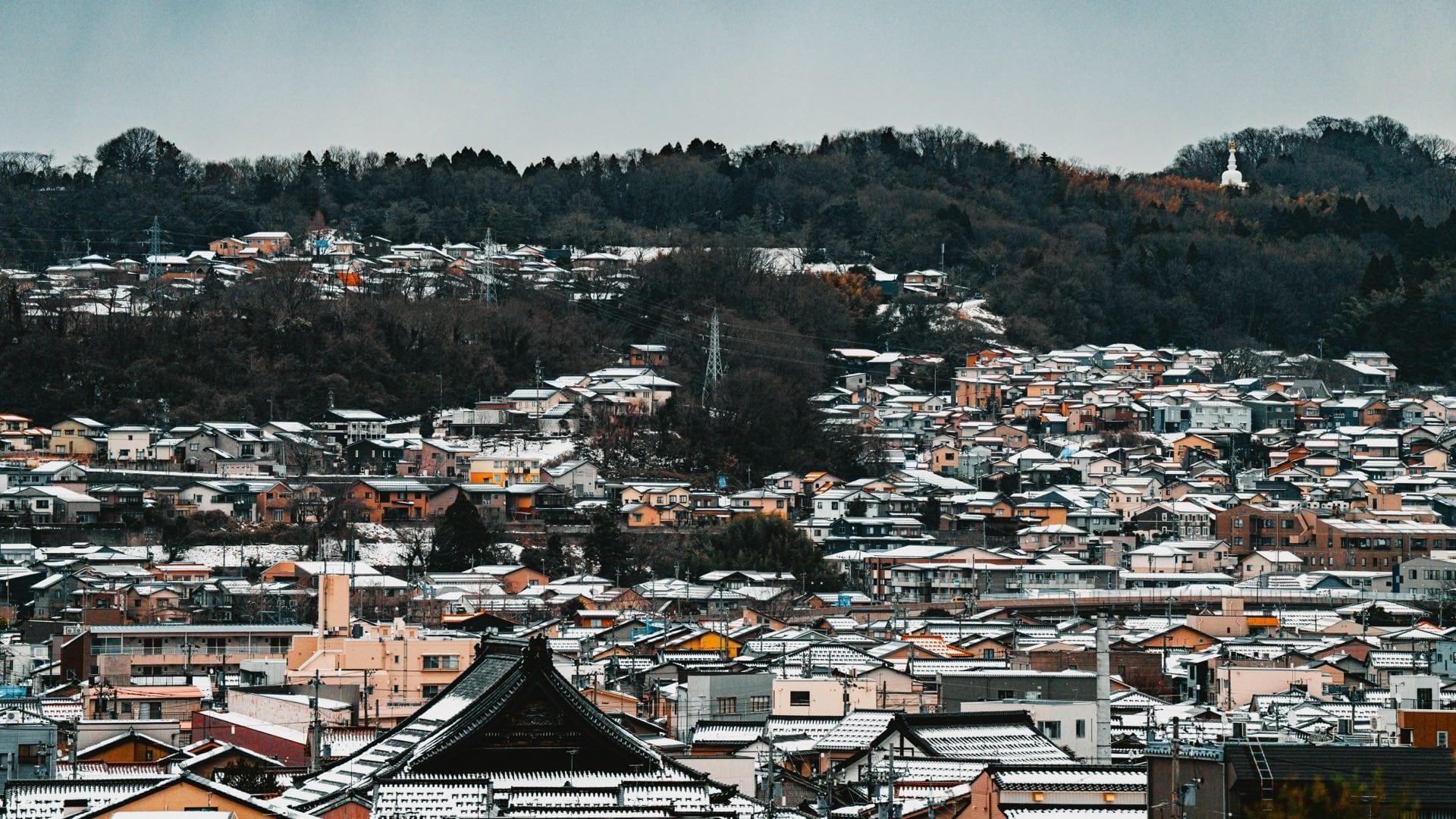 Complete Investor Guide to Japanese Property