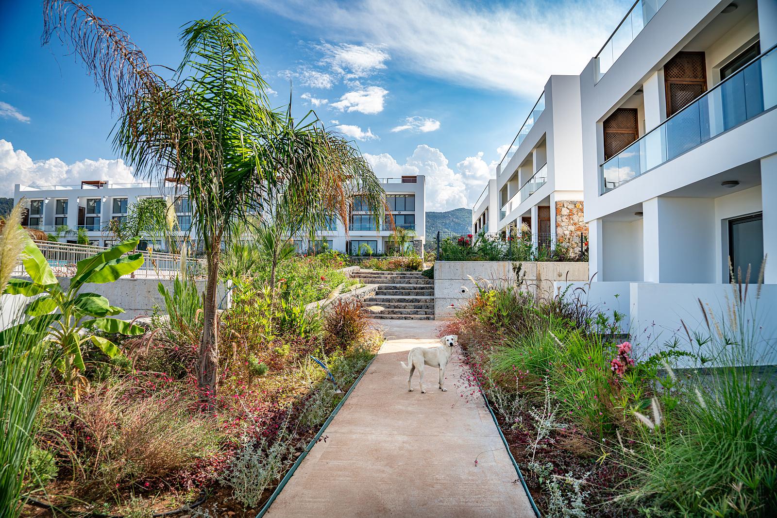 Apartments in Bahçeli, Girne (ECN-00382) — photograph 5