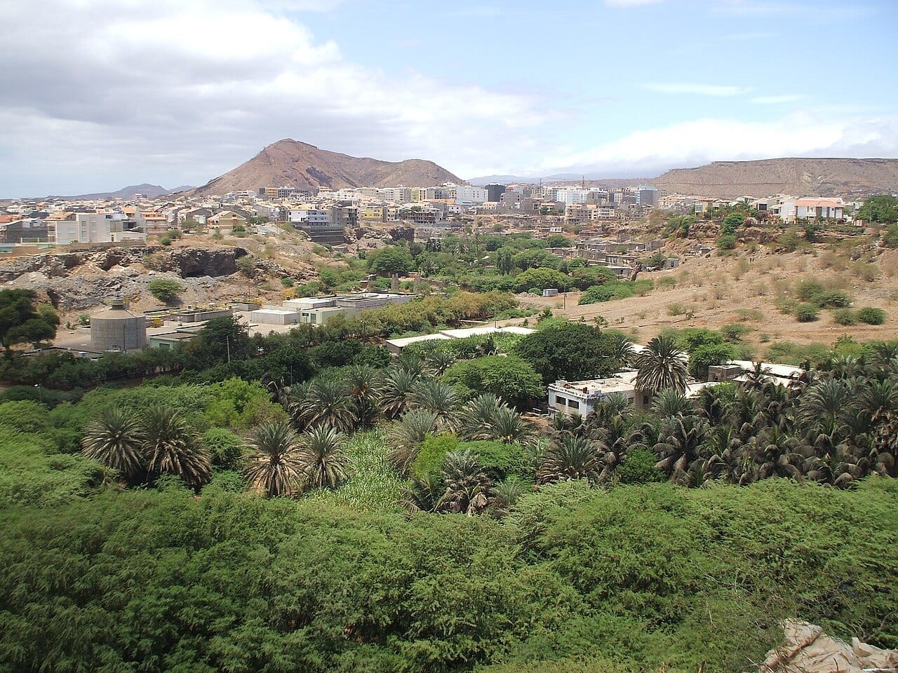 Palmarejo