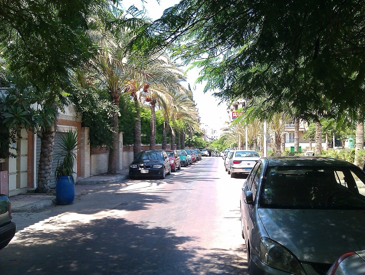 Roushdy